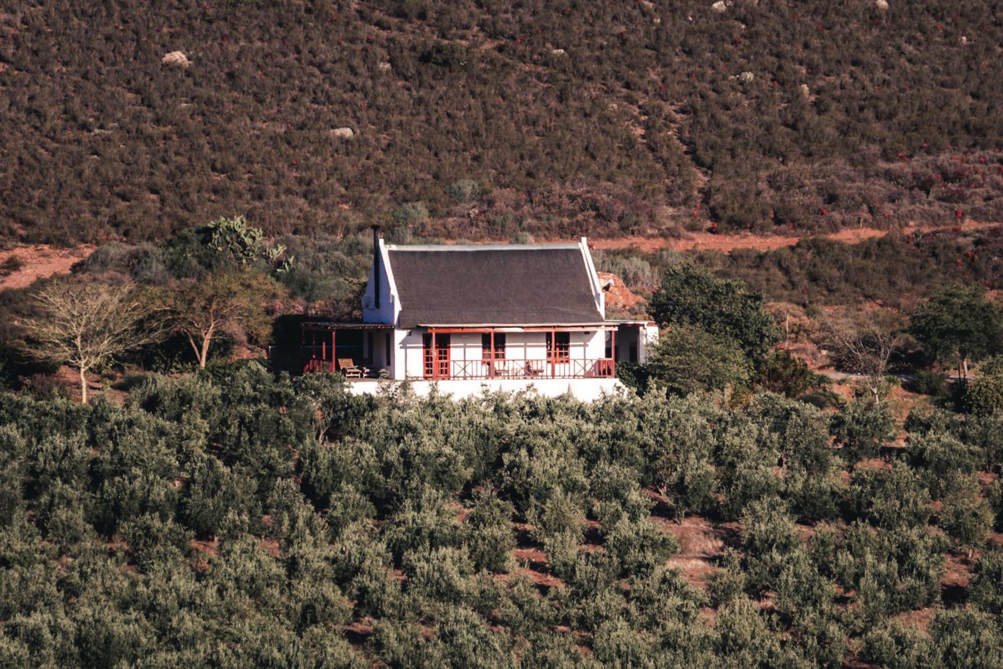 Orange Grove Villa Robertson Exterior photo